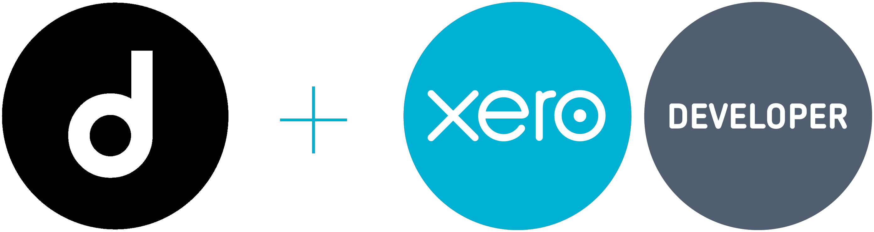 Custom Xero Software Development